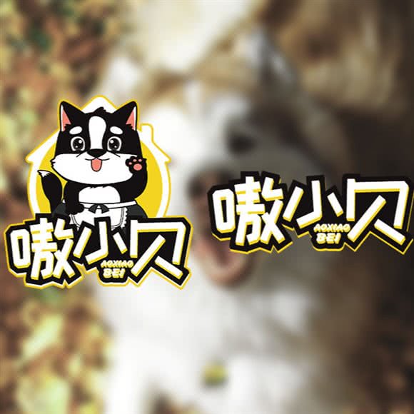 嗷小贝宠物生活馆:天津城区津南区咸水沽附近