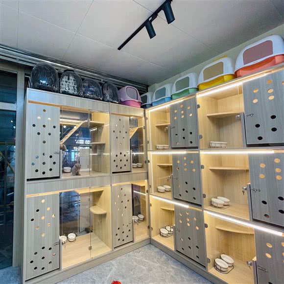 AITA·爱它宠物spa馆:广州市白云区白云大道沿线附近