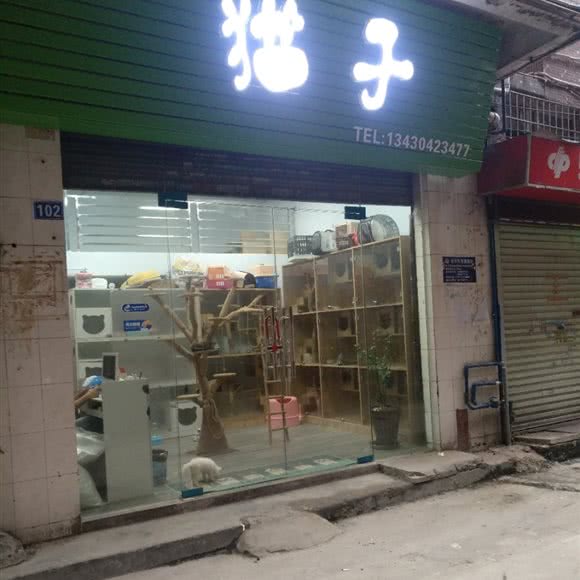 猫子:广州市白云区白云大道沿线附近