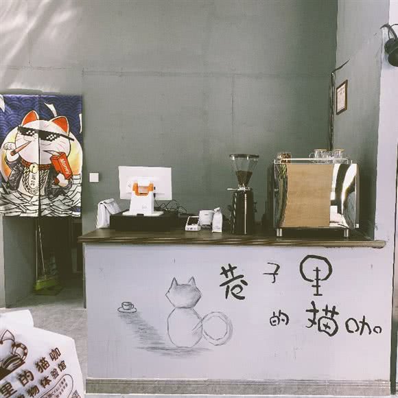 巷子里的猫咖宠物体验馆(富力店):天津城区津南区咸水沽附近