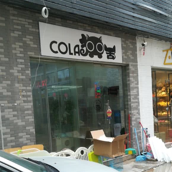 COLA猫舍:广州市白云区白云大道沿线附近
