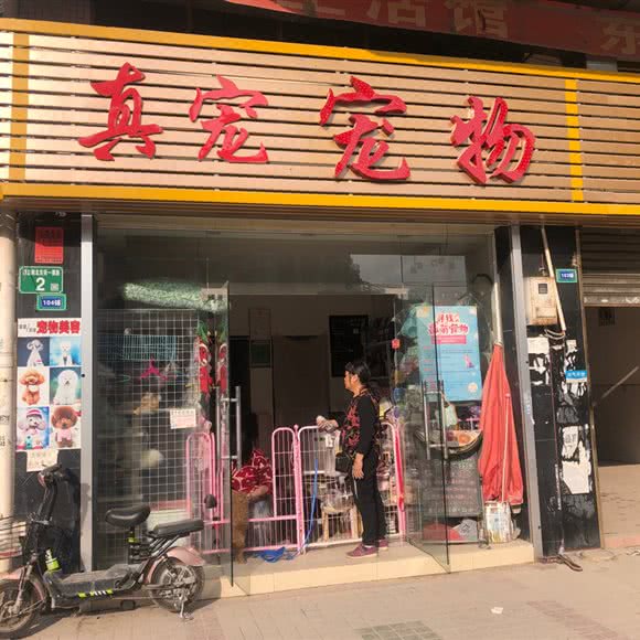 啊宠宠物:广州市白云区黄石附近