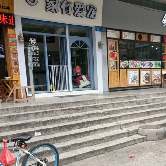 家有爱宠:广州市白云区新市附近