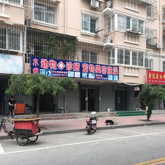 东日动物诊所宠物美体洗澡:天津城区津南区咸水沽附近