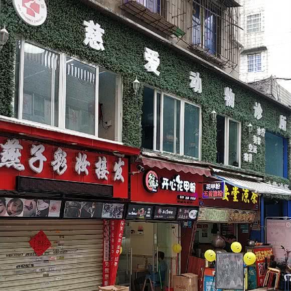 慈爱动物诊所:广州市白云区新市附近