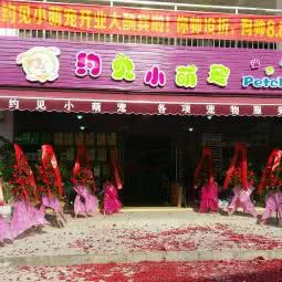 皮皮宠物生活馆:广州市白云区永泰附近