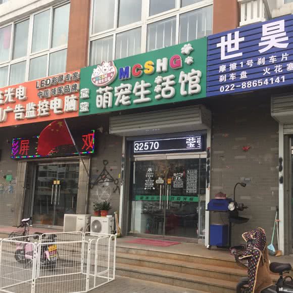 莹莹萌宠生活馆:天津城区津南区咸水沽附近