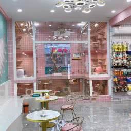 御宠荟宠物连锁店:广州市白云区江高镇附近