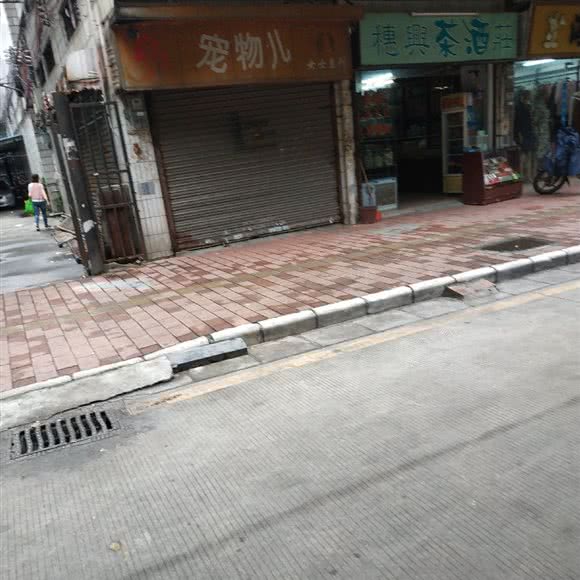 宠物儿女士系列:广州市白云区江高镇附近