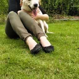 辛巴达训犬学校:广州市白云区江高镇附近