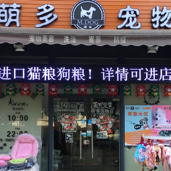 萌多宠物:广州市白云区嘉禾/人和附近