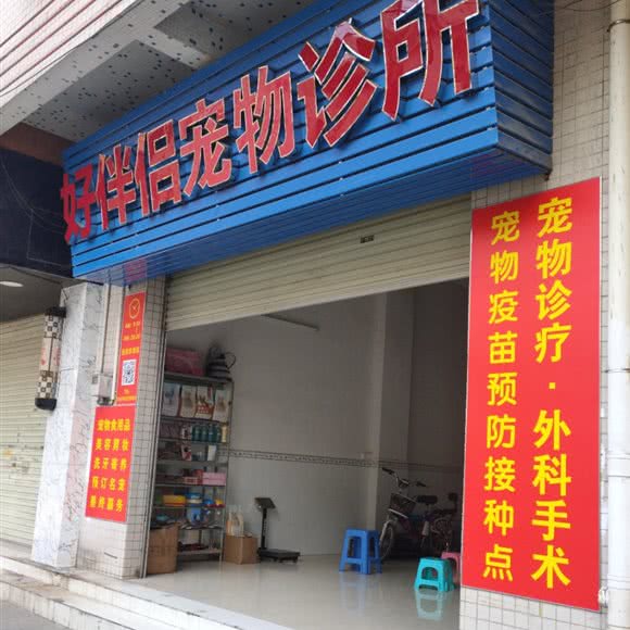 好伴侣宠物诊所:广州市白云区嘉禾/人和附近