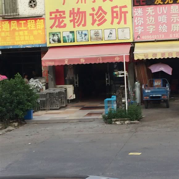 东莞丁氏宠物诊所:广州市白云区嘉禾/人和附近