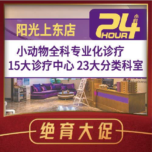 宠爱国际动物医院(24h阳光上东店):北京城区朝阳区酒仙桥附近