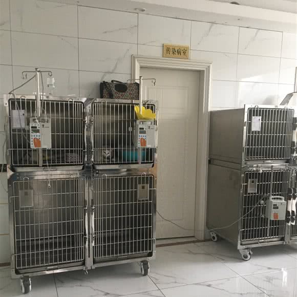 龙二虎宠物医院:广州市白云区嘉禾/人和附近