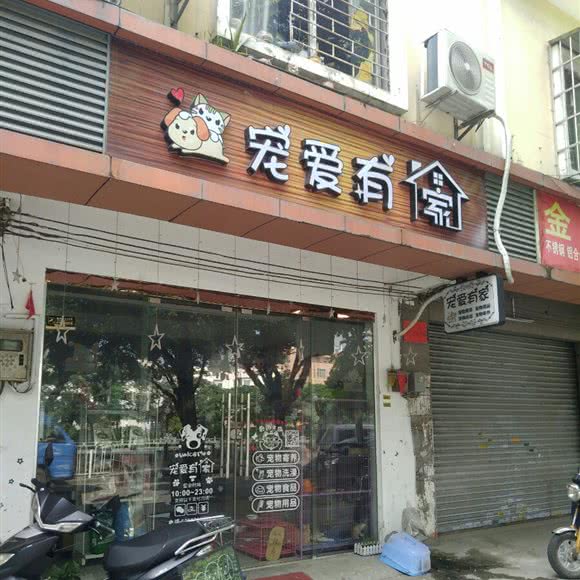 宠爱有家:广州市白云区石井附近