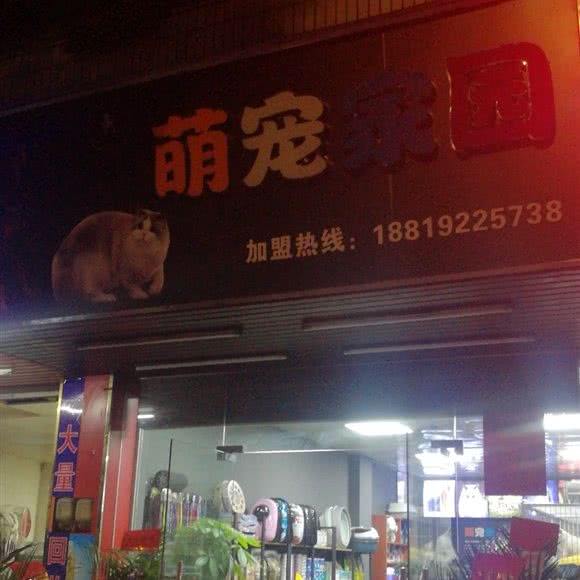 萌宠家园:广州市白云区石井附近