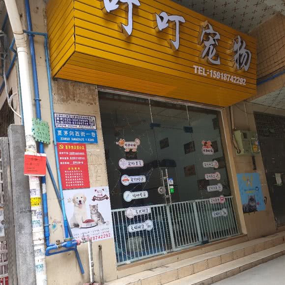叮叮宠物(夏茅店):广州市白云区石井附近