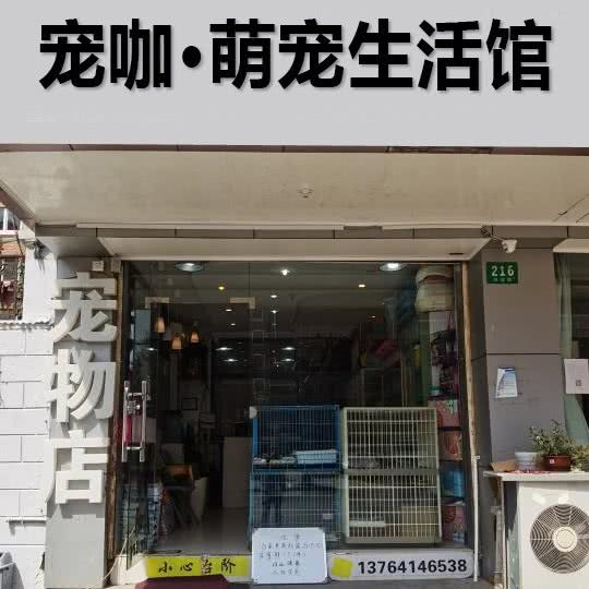 宠咖·萌宠生活馆:广州市白云区石井附近