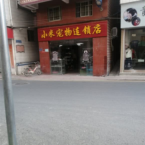 小米宠物连锁店:广州市白云区石井附近