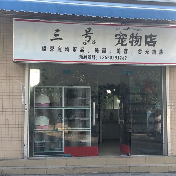 三号宠物店:广州市白云区石井附近