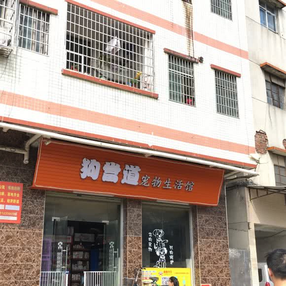 狗當道宠物生活馆:广州市白云区石井附近