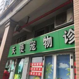 天使宠物医院:广州市白云区石井附近