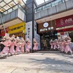 MoYe宠物:广州市白云区罗冲围/金沙洲附近