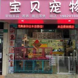 宝贝宠物:广州市白云区罗冲围/金沙洲附近
