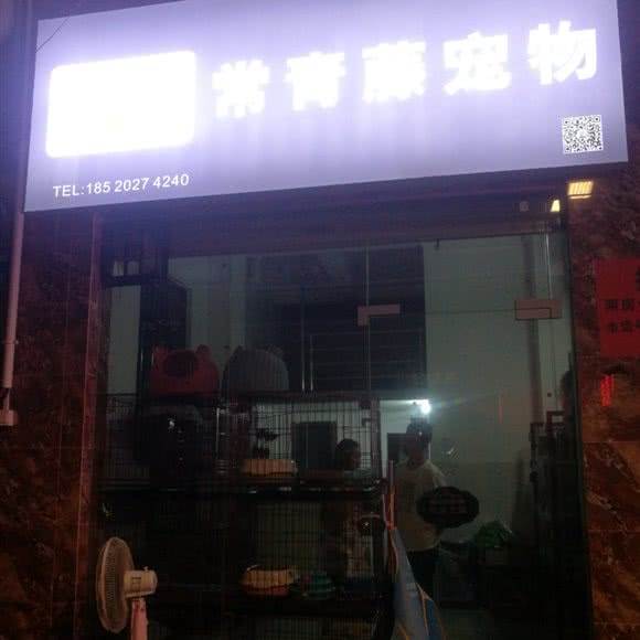 常青藤宠物:广州市白云区嘉禾望岗附近