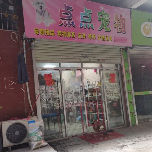 点点宠物:广州市白云区黄边附近