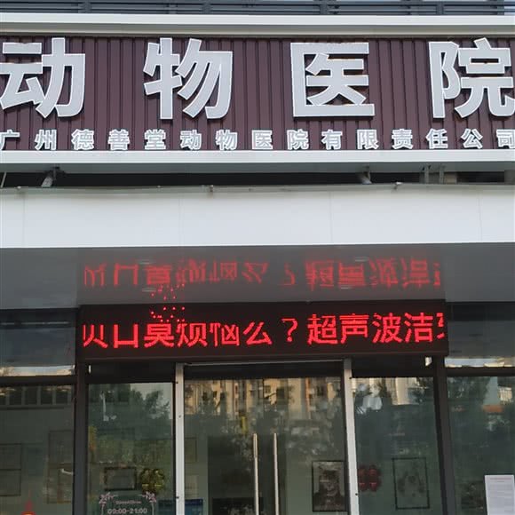 德善堂动物医院(骨科软组织外科）(黄埔大沙地分院):广州市黄埔区大沙地附近