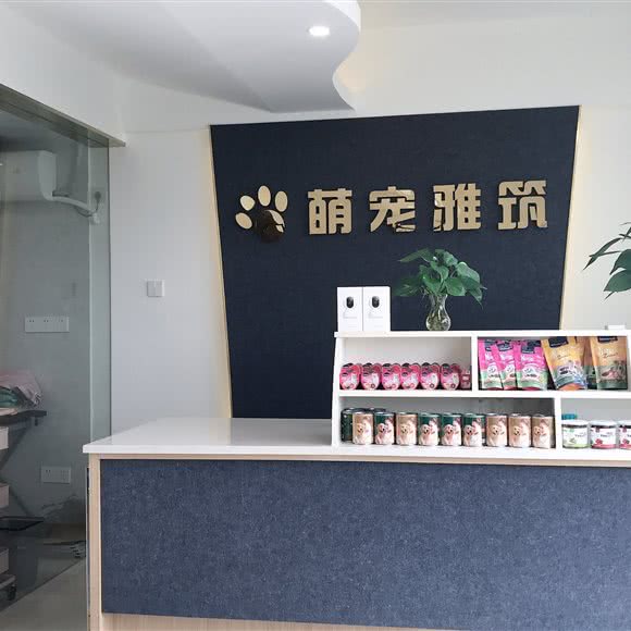 萌宠雅筑:广州市黄埔区中心城附近