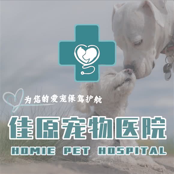 佳原宠物诊所:广州市黄埔区中心城附近