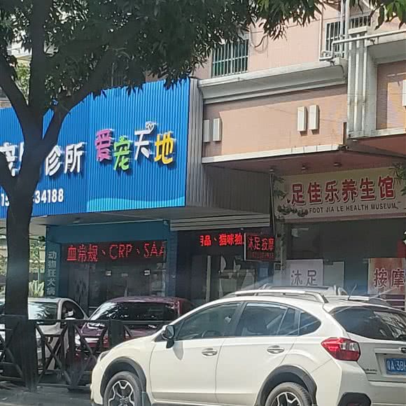 爱宠天地:广州市番禺区市桥附近