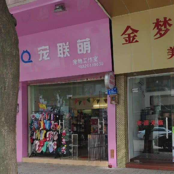 q宠联萌:广州市番禺区市桥附近
