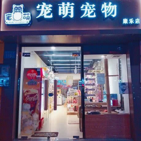 魔力宠物:广州市番禺区市桥附近