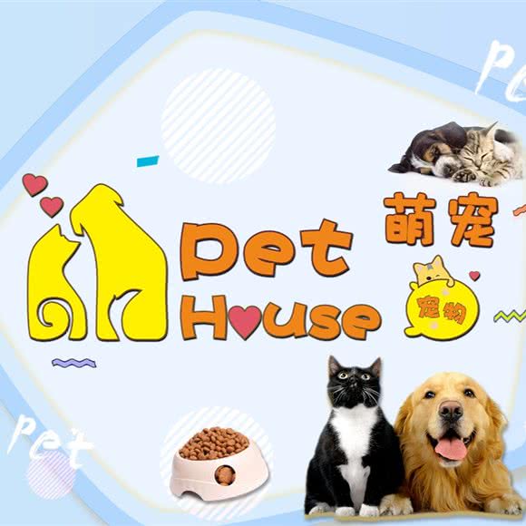 Pet House 萌宠宠物:广州市番禺区市桥附近