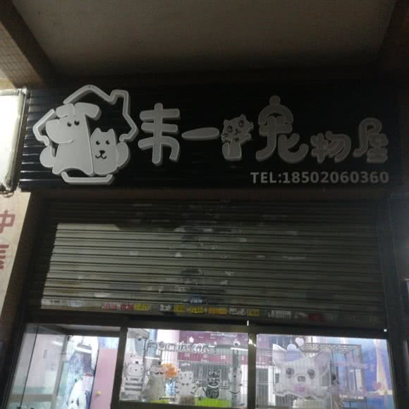 韦一狗狗屋:广州市番禺区市桥附近