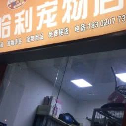 哈利宠物店关边路:广州市番禺区市桥附近
