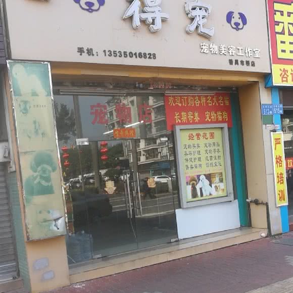 得宠宠物美容工作室(番禺市桥店):广州市番禺区市桥附近