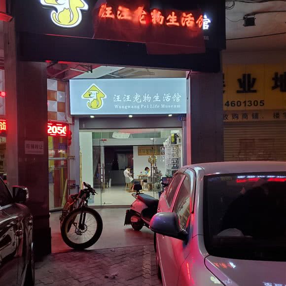 汪汪宠物生活馆:广州市番禺区市桥附近