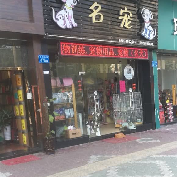 名宠:广州市番禺区市桥附近