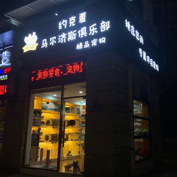 约克夏马尔济斯俱乐部·精品宠物(南华路店):广州市番禺区市桥附近