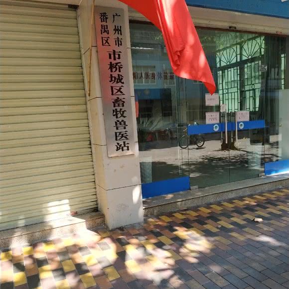 市桥城区畜牧兽医站:广州市番禺区市桥附近