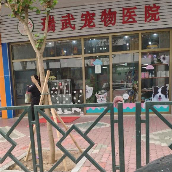 瑞武宠物诊所(环城东路店):广州市番禺区市桥附近