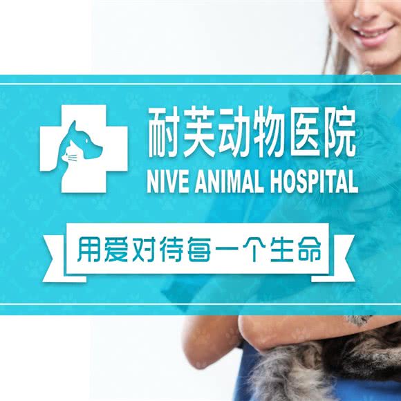 耐芙动物医院(大学城店):广州市番禺区大学城附近