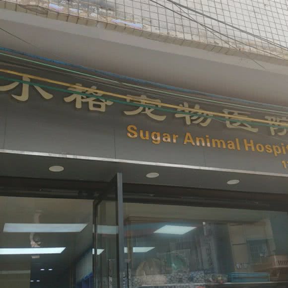 小格宠物医院:广州市番禺区大学城附近