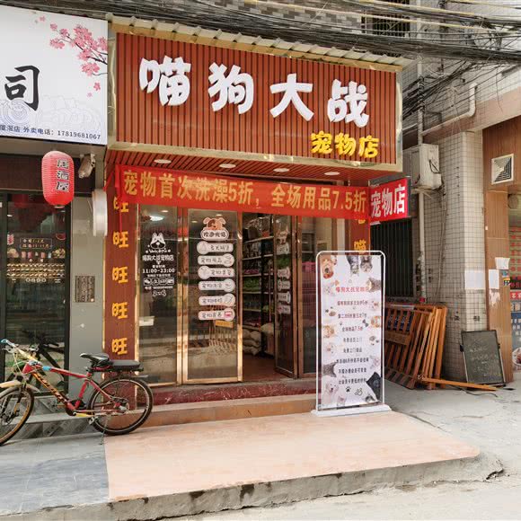 喵狗大战宠物店:广州市番禺区洛溪附近