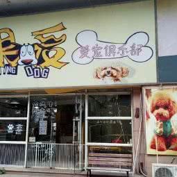 如果爱爱宠俱乐部:广州市番禺区洛溪附近